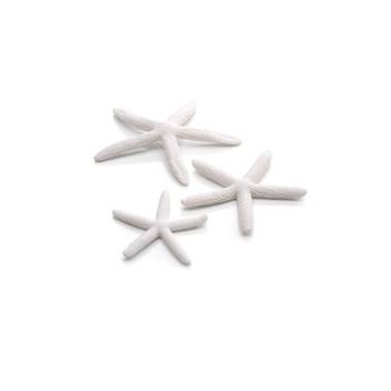 Décor Aquarium BIORB Set 3 Etoiles de Mer Blanches