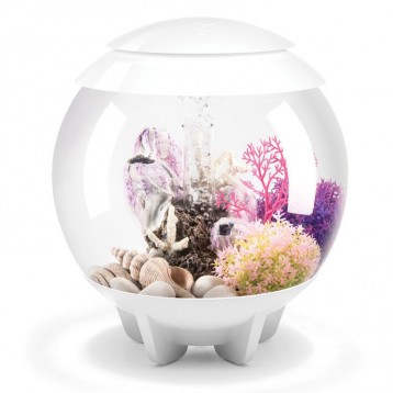 Aquarium BIORB Halo Blanc 15 MCR 15 L