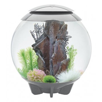 AQUARIUM BIORB HALO 60 MCR GRIS 60 LITRES