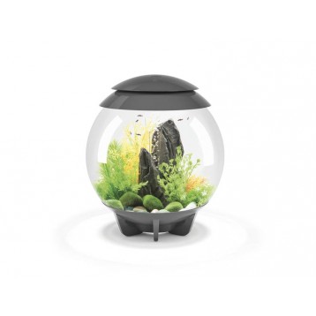 AQUARIUM BIORB HALO 30 MCR GRIS 30 LITRES