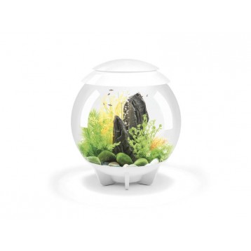 AQUARIUM BIORB HALO 30 MCR BLANC 30 LITRES