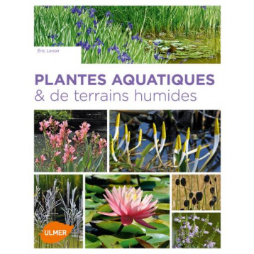 PLANTES AQUATIQUES ET DE TERRAINS HUMIDES