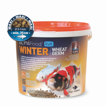 Nourriture Ichi Food Winter 1 Kg en 6 mm pour carpes Koï et poissons