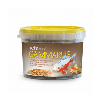 NOURRITURE ICHI FOOD GAMMARES 1 L