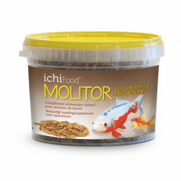 NOURRITURE ICHI FOOD MOLITOR 1 L